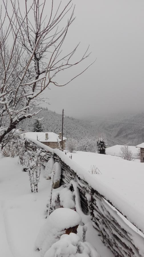 Semana Guesthouse Vrata Εξωτερικό φωτογραφία